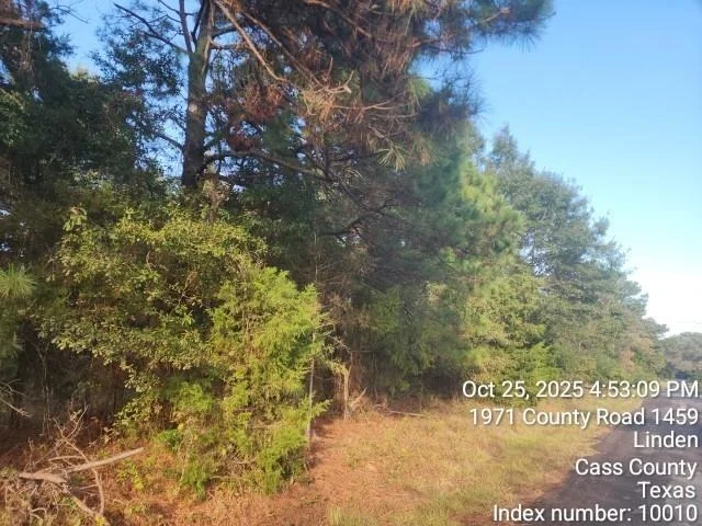 Photo of 938 County Road 1244 Road