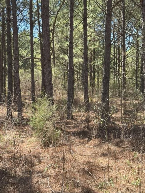 Photo of TBD Boards Ferry Rd
