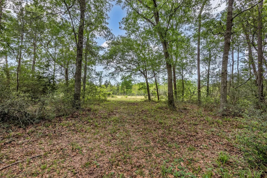 Photo of 27527 Tepee Trail