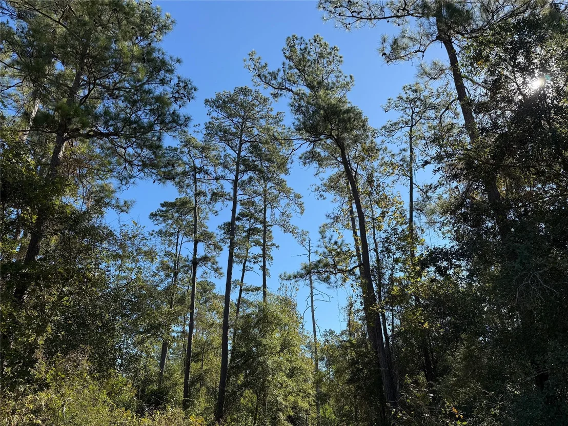 Photo of T-5 Eldridge Road