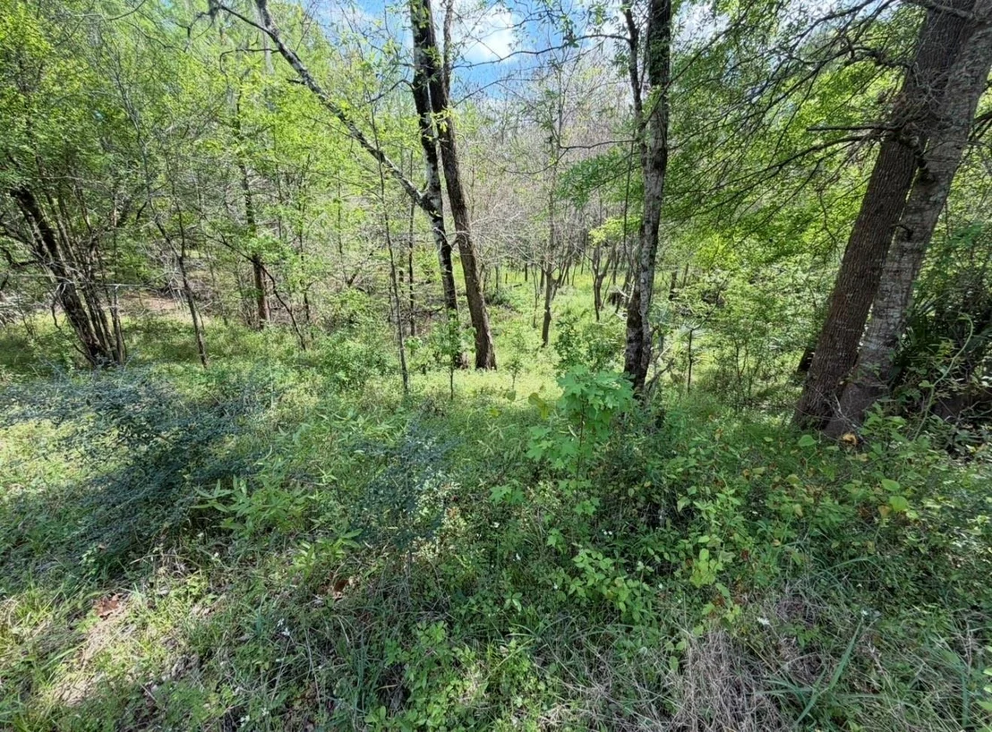 Photo of 7571 County Road 2252