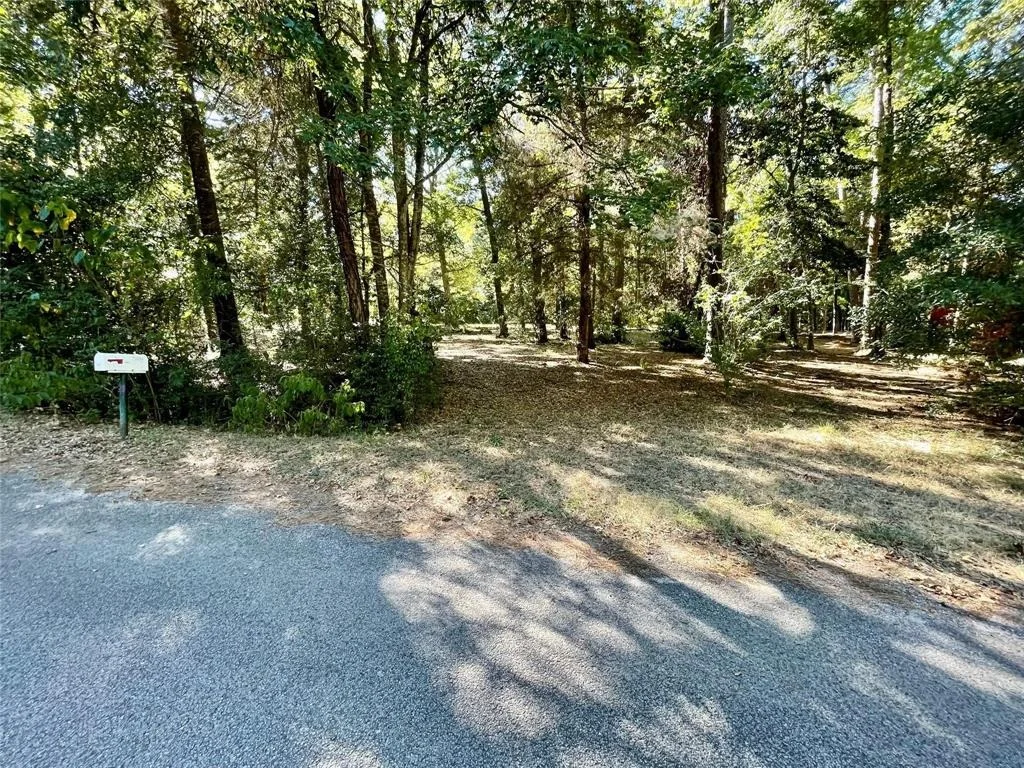 Photo of 11451 White Road