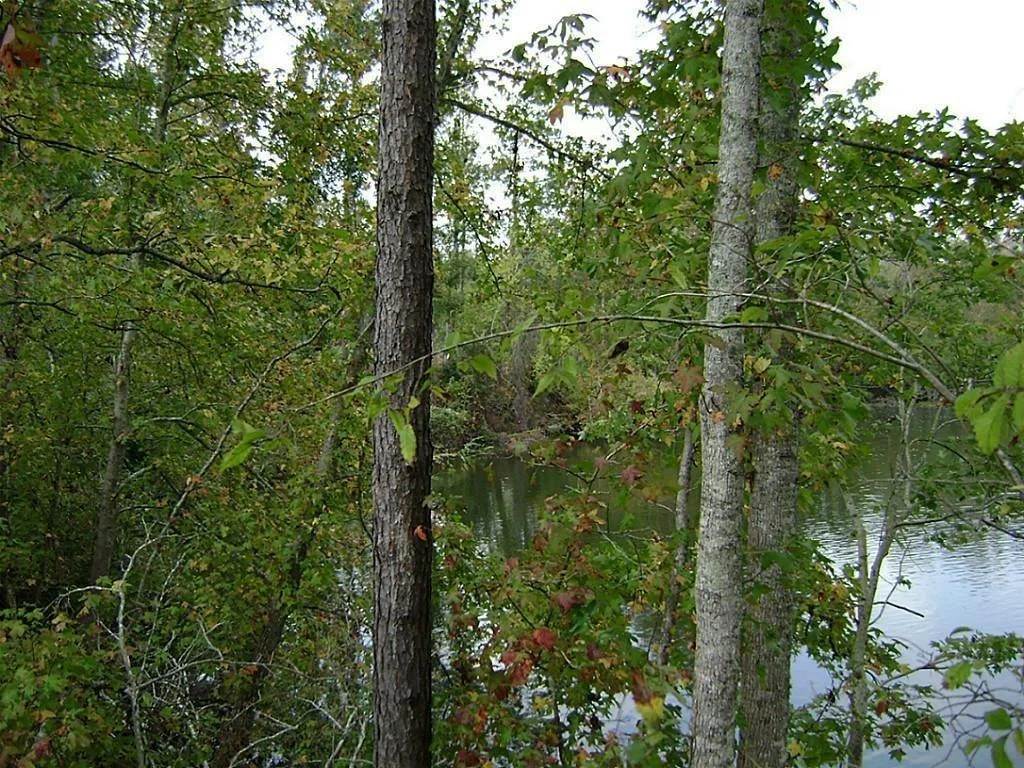 Photo of 47 Deer Ridge