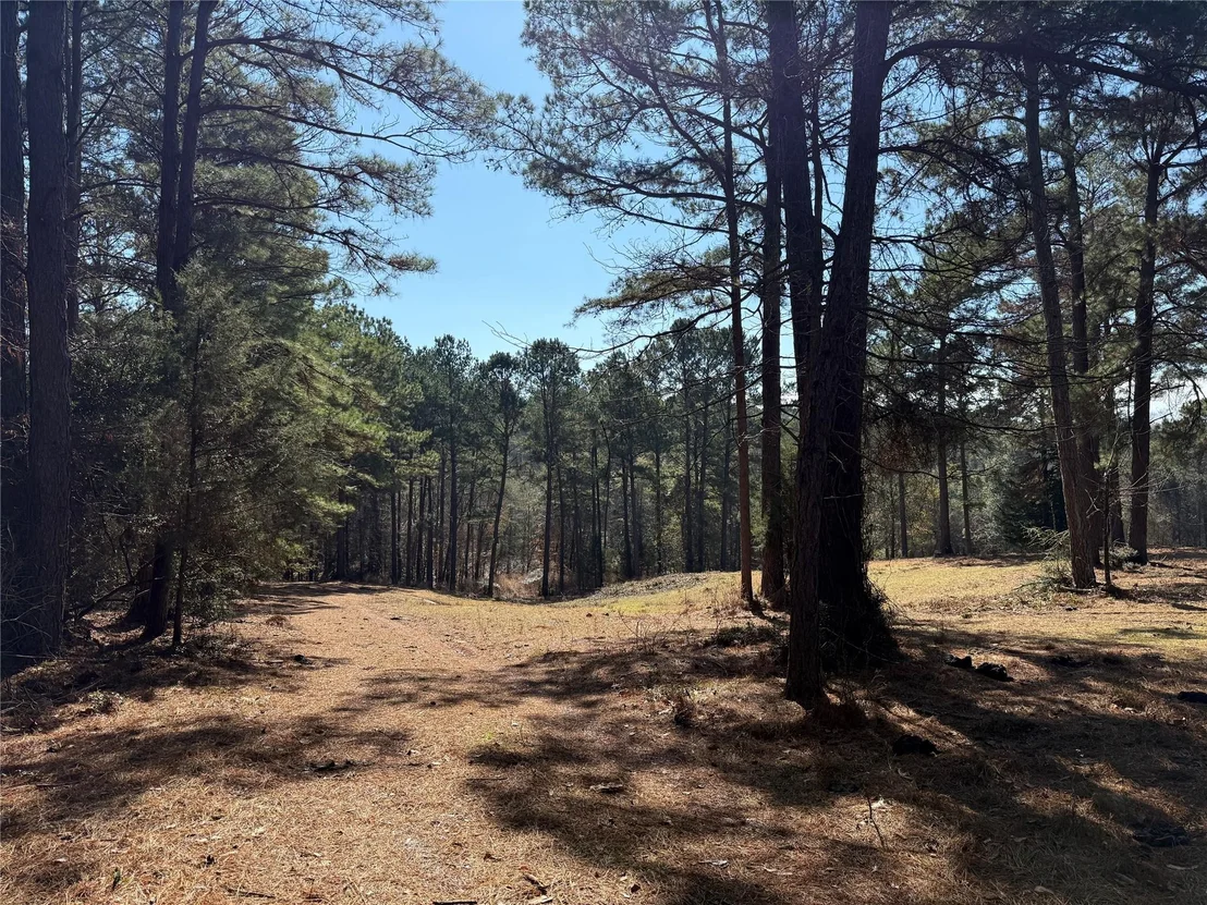 Photo of 3984 County Road 3100