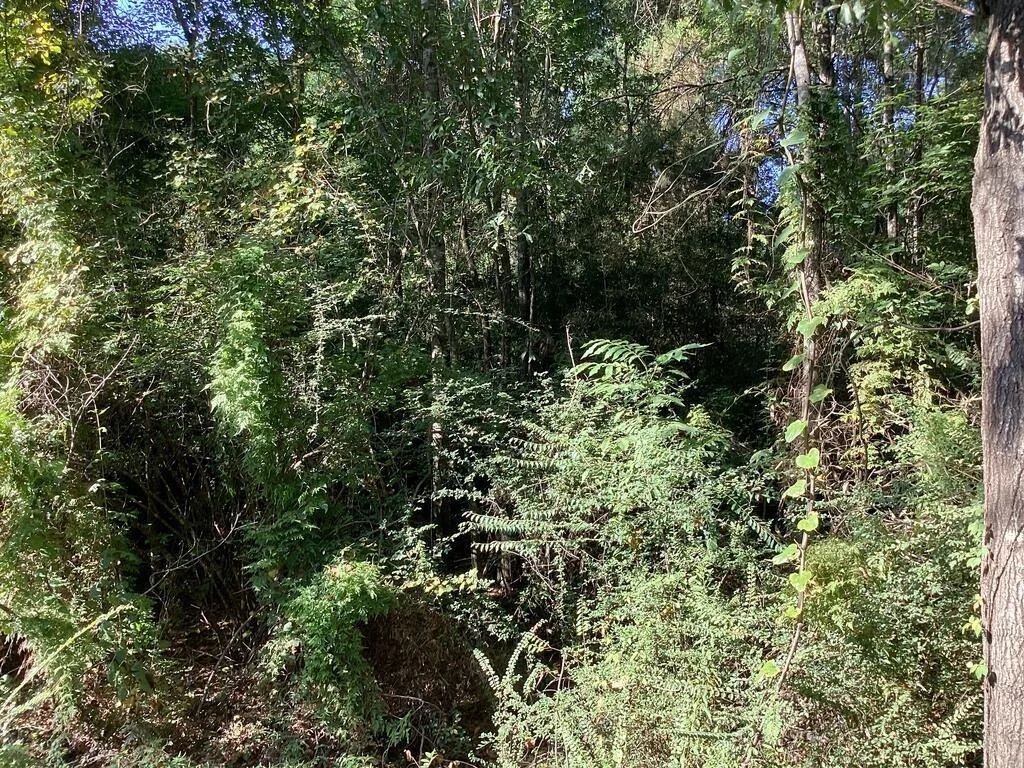 Photo of 1125 County Road 3075