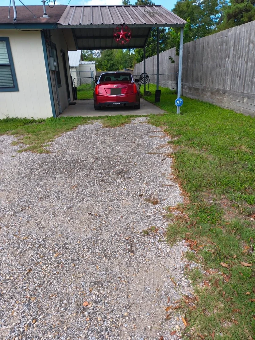 Photo of 104 Zube