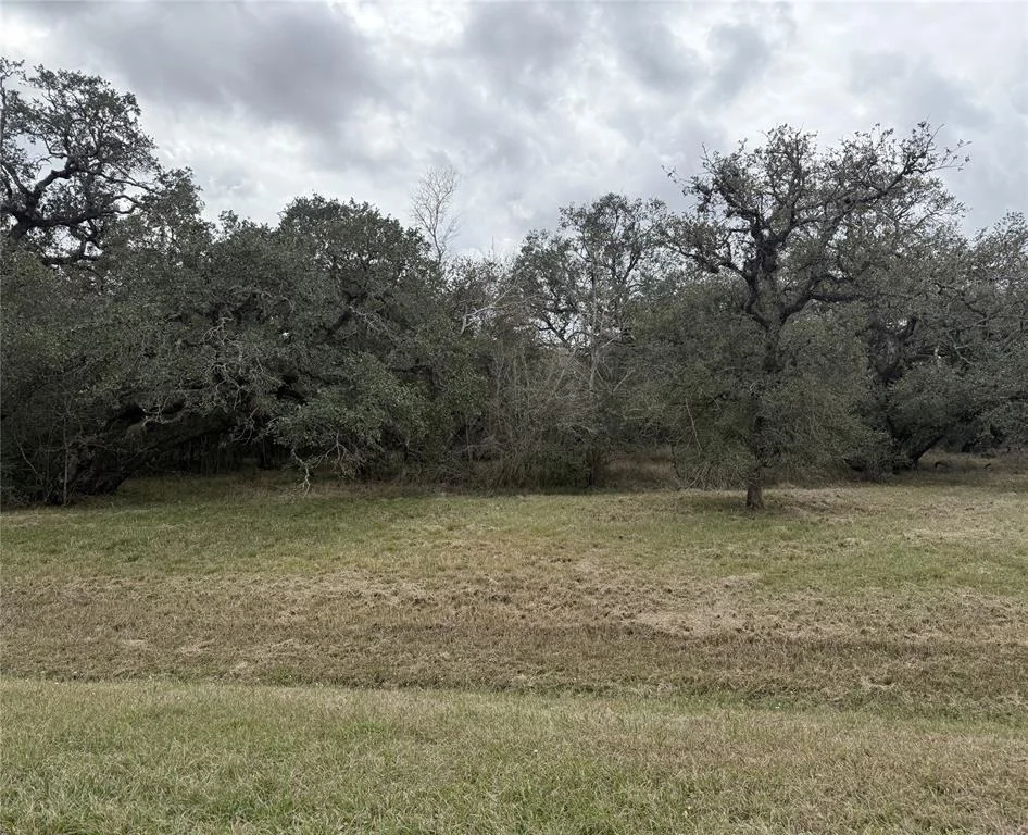 Photo of 114 Center Tree Drive