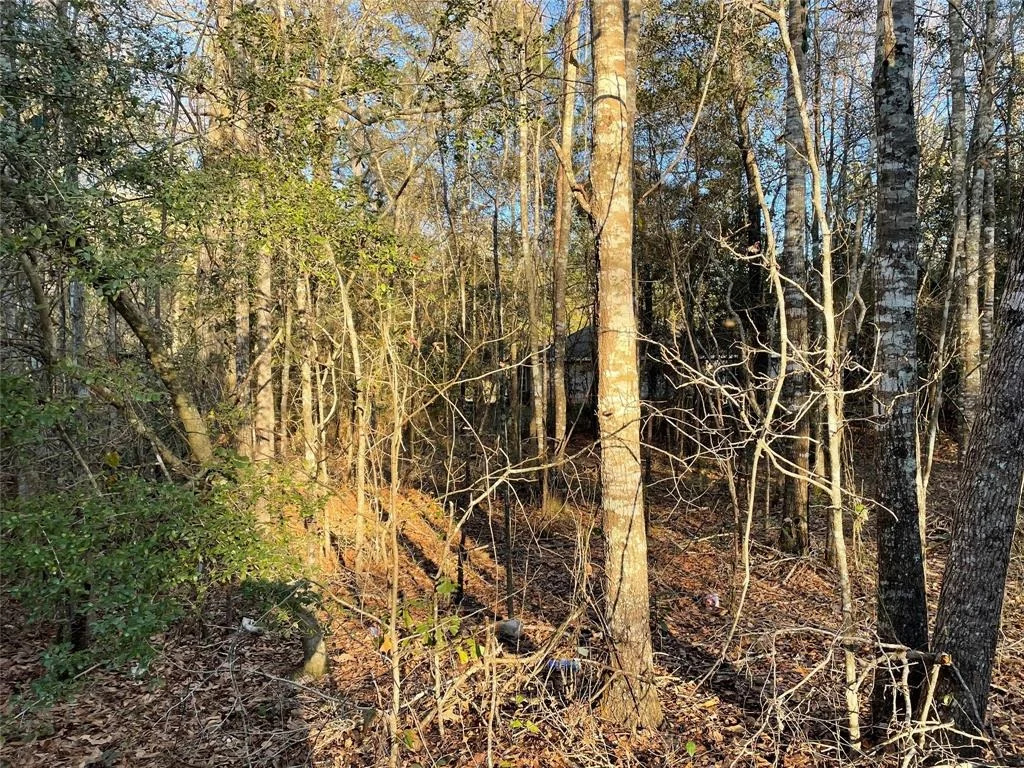 Photo of 00 Wright Boulevard