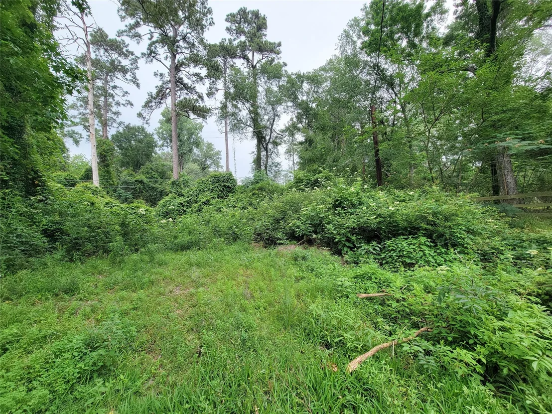 Photo of 2011 Old Ox Road