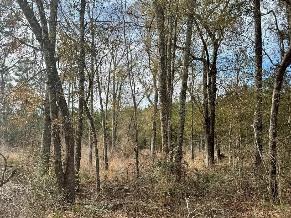 Photo of 950 Tram Road