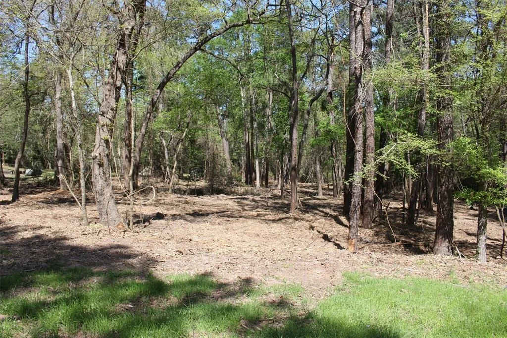 Photo of 145 Crossed Arrows