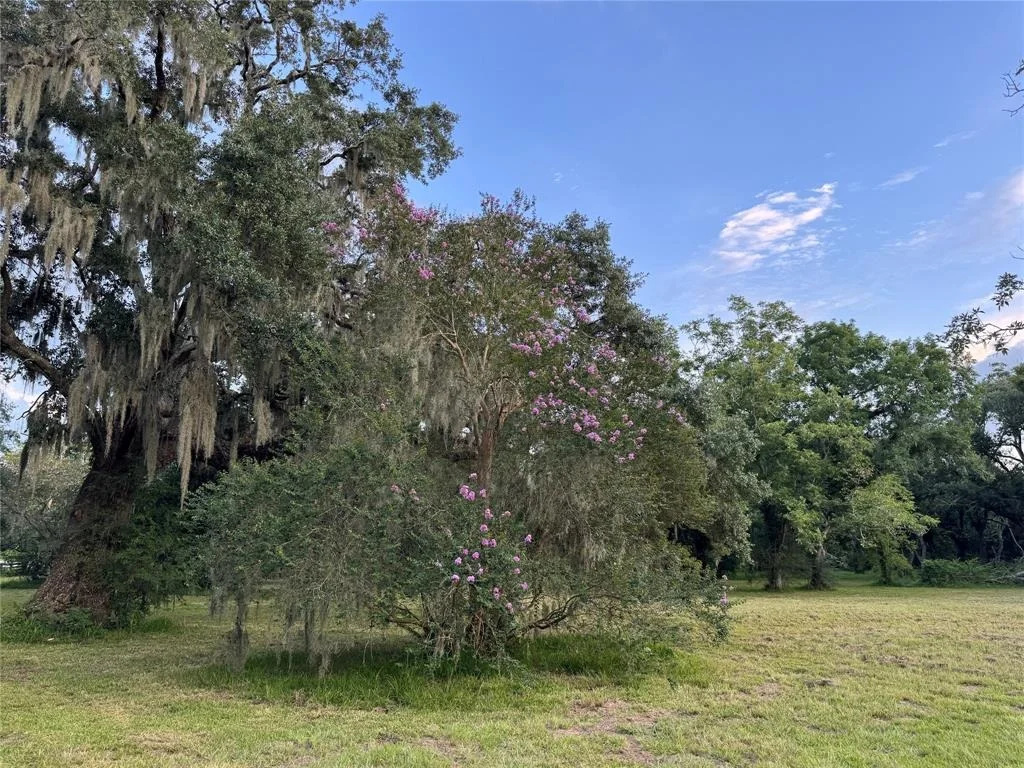 Photo of 1510 Jimmy Phillips Blvd