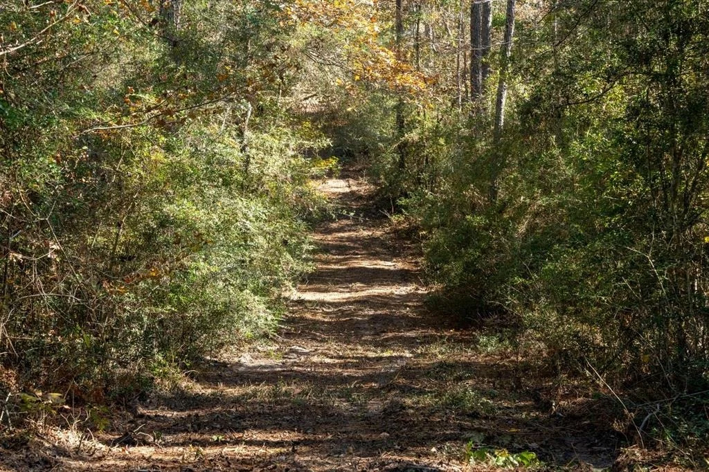 Photo of 445 County Road 3190