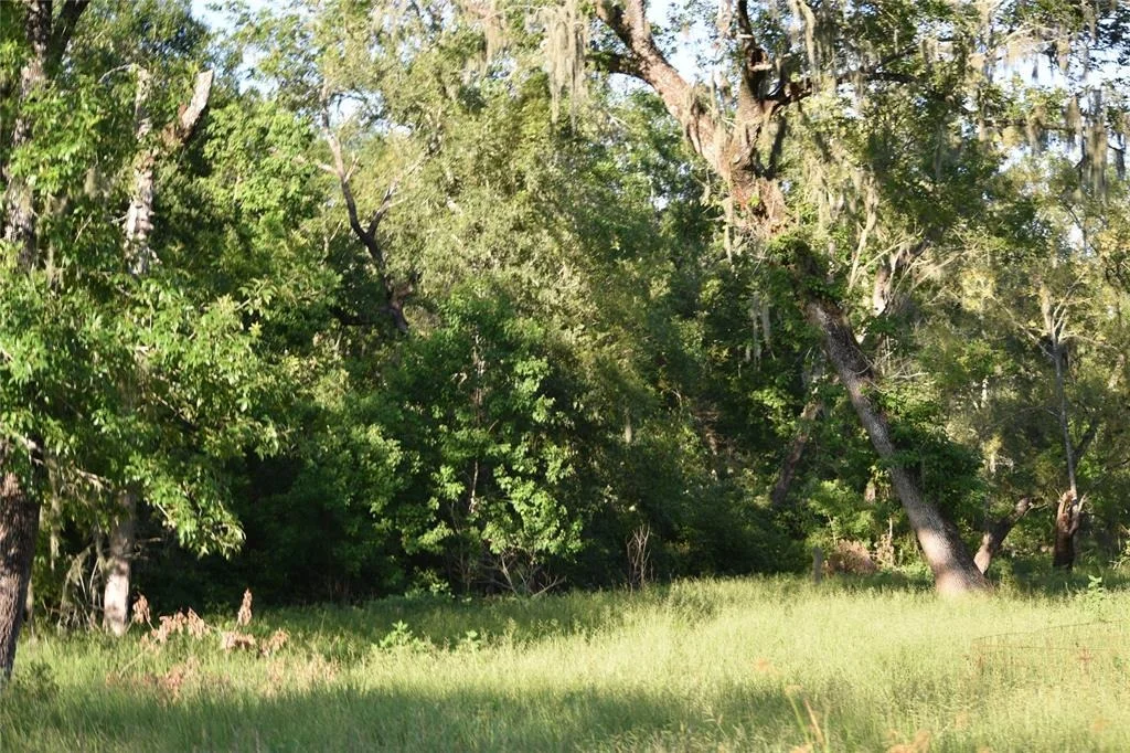 Photo of 5300 U-Pond Drive/County Road 611