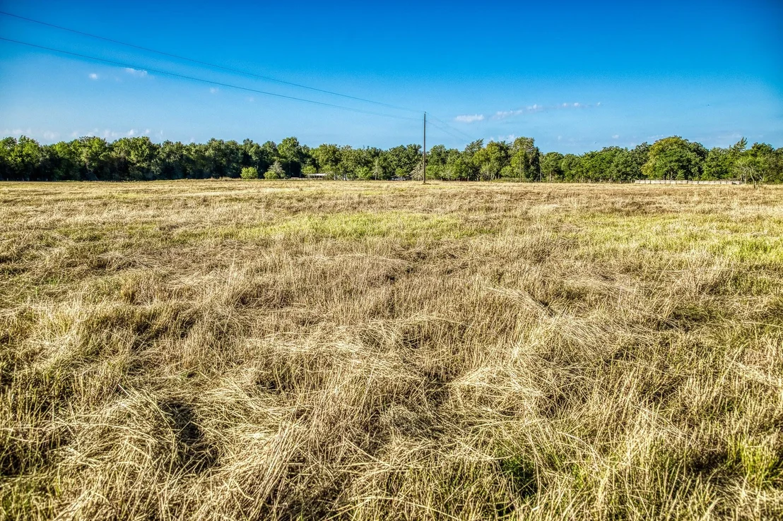 Photo of 460 County Road 328