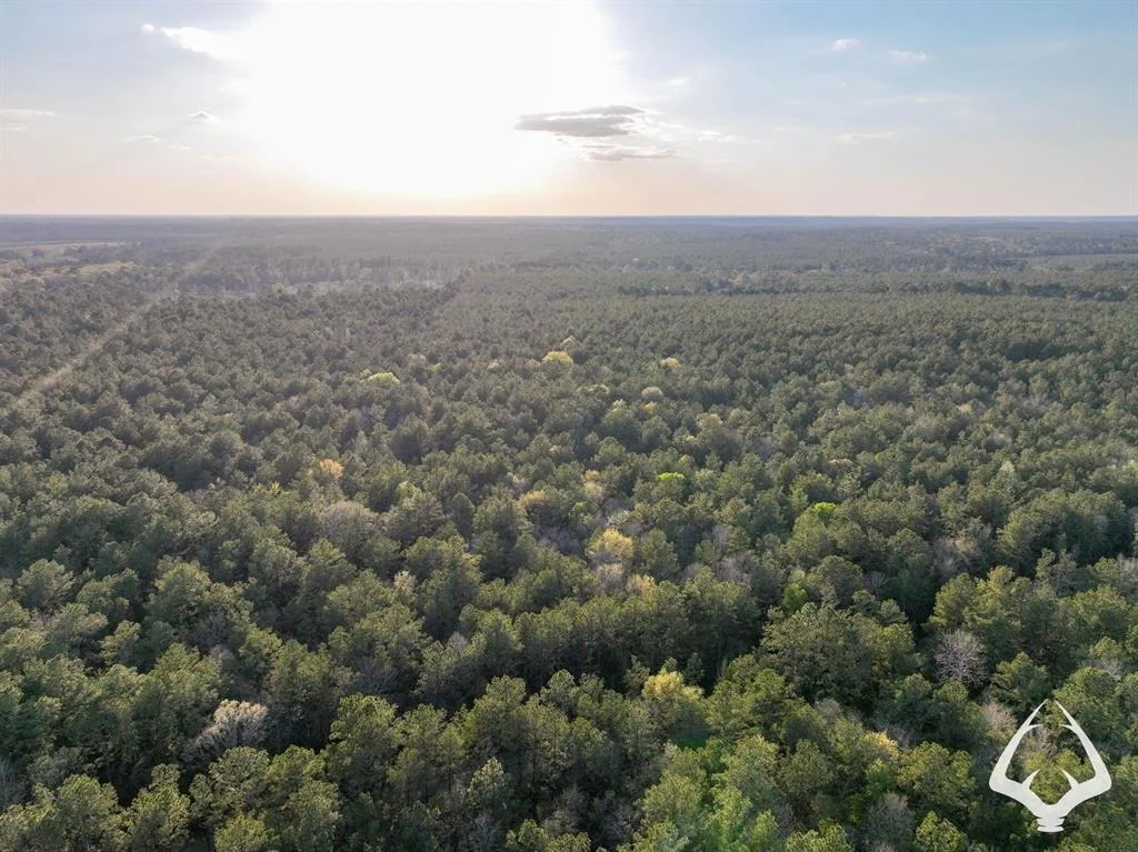 Photo of 850 County Road 4390
