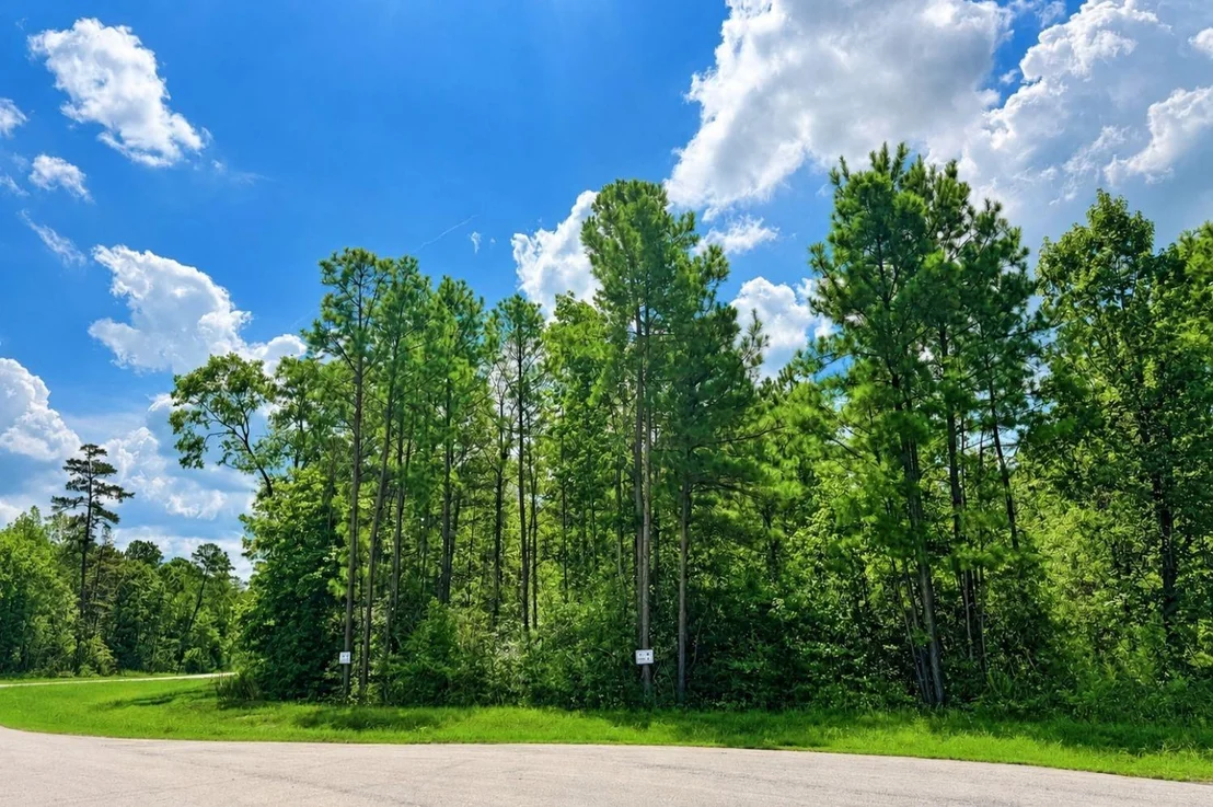 Photo of 10545 Link Tree Lane