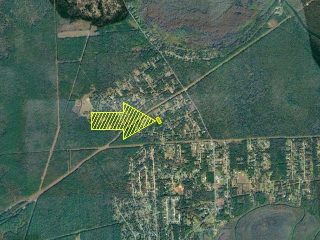 Photo of 447 County Road 410