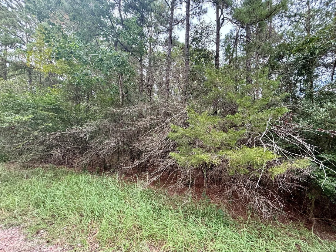 Photo of TBD Parkview Drive