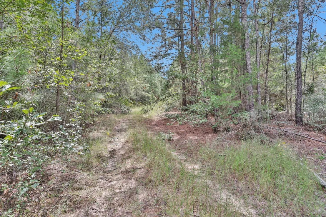 Photo of 11976 Highbranch Way
