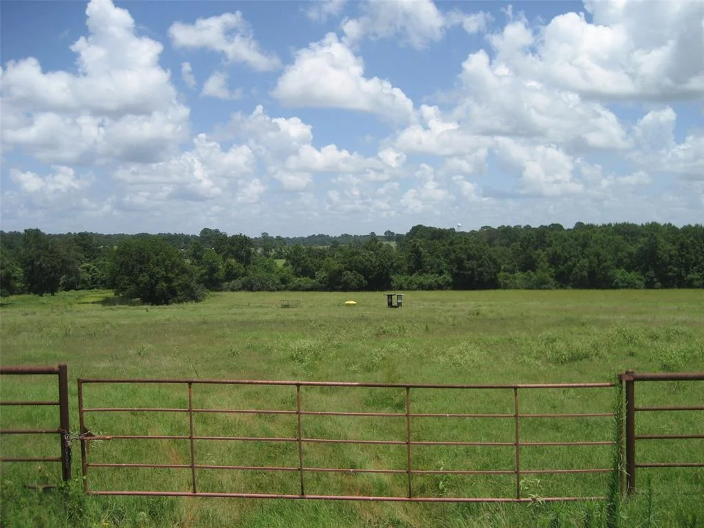 Photo of 00 Cr 2120