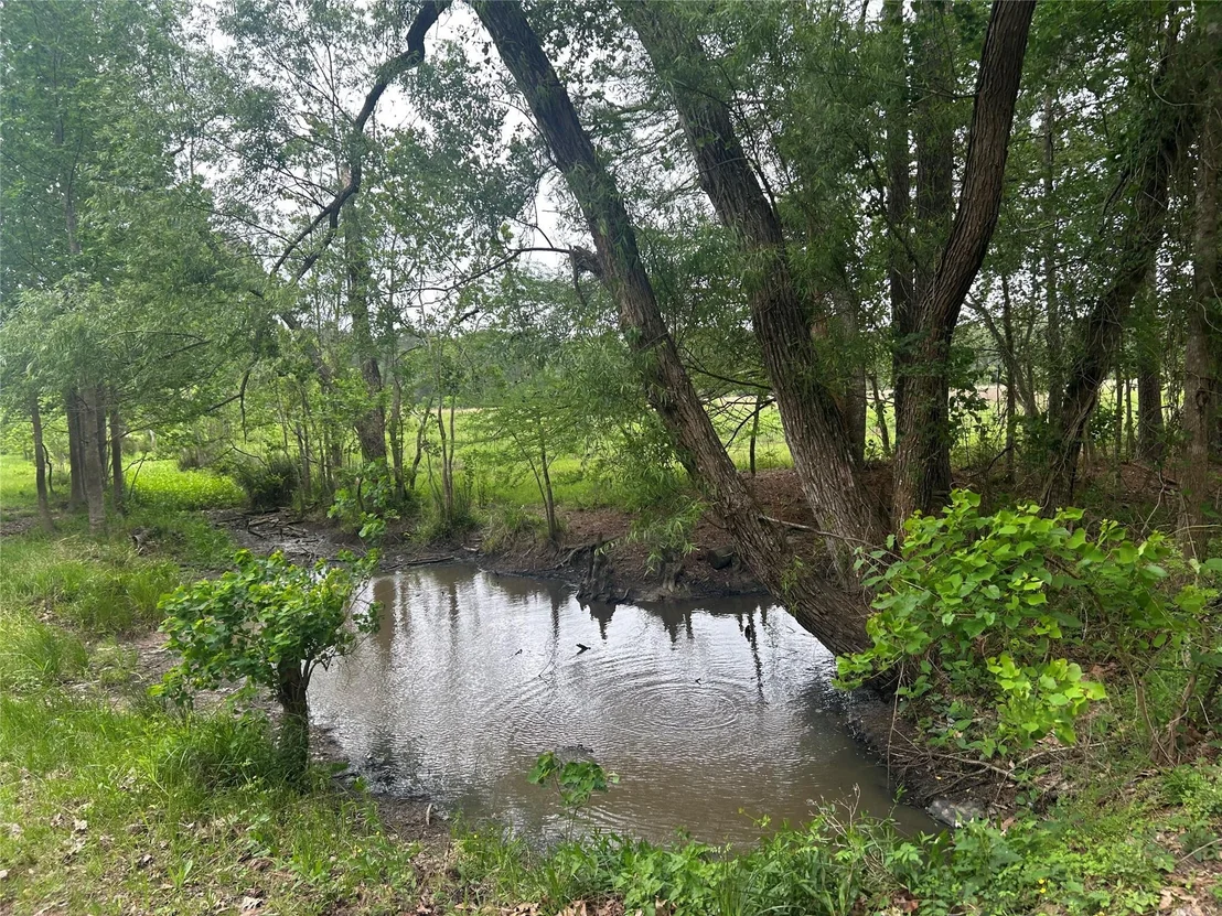 Photo of Lot 2 Minnie West Rd