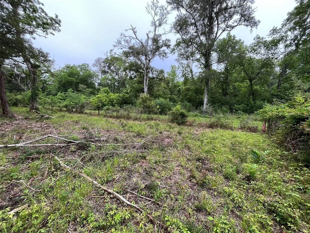 Photo of 2872 Brazoria County Road