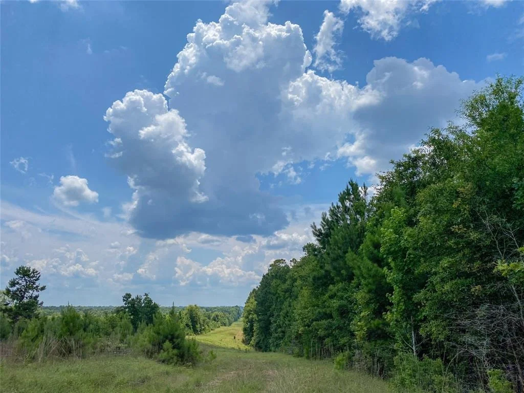 Photo of 0 Us Hwy 59