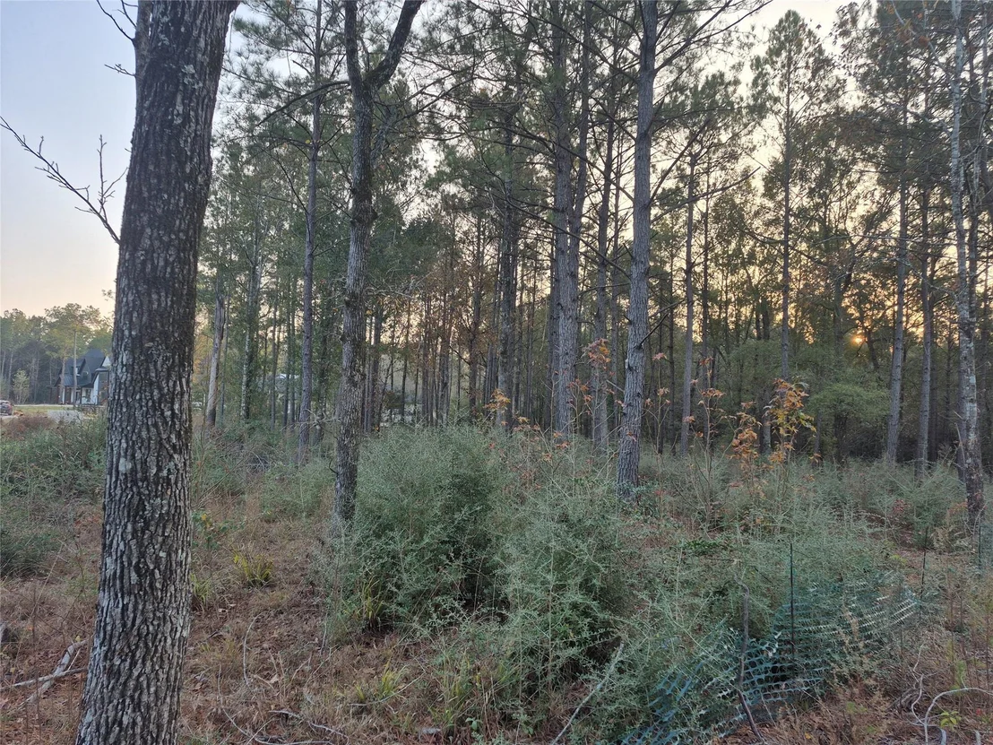 Photo of 25179 Chisos Bend