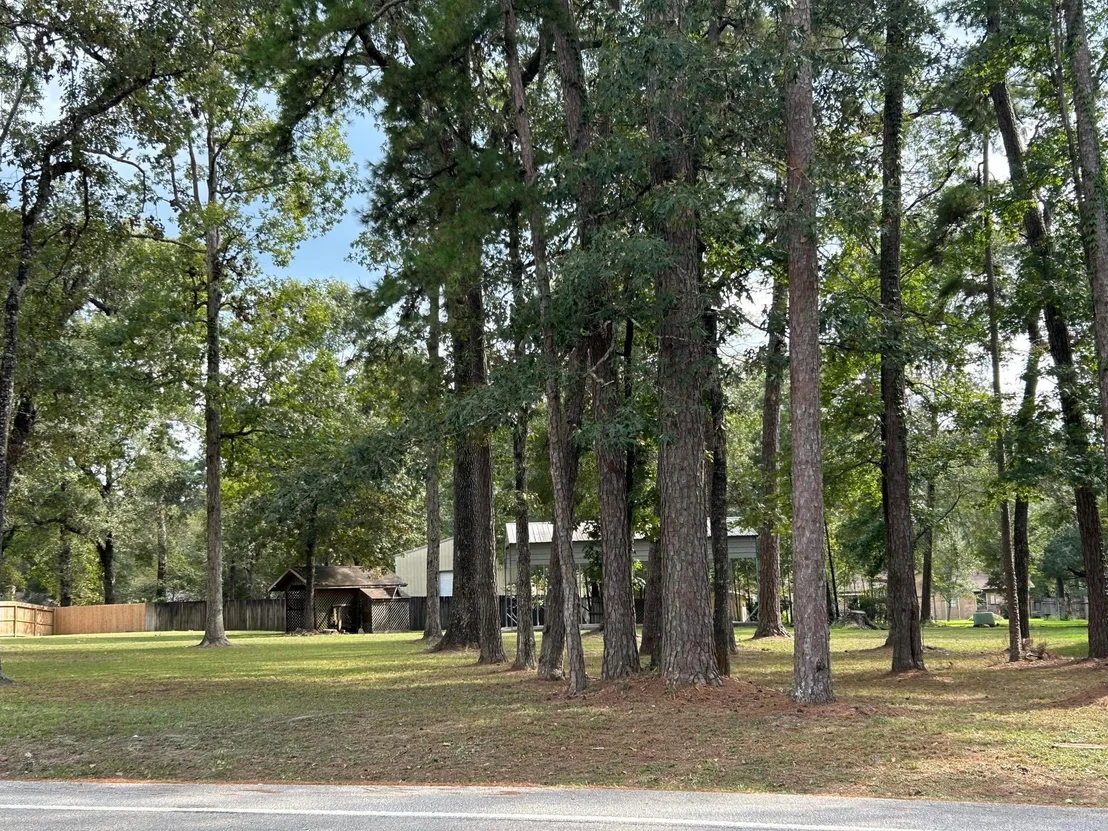 Photo of 2006 Roman Forest Boulevard