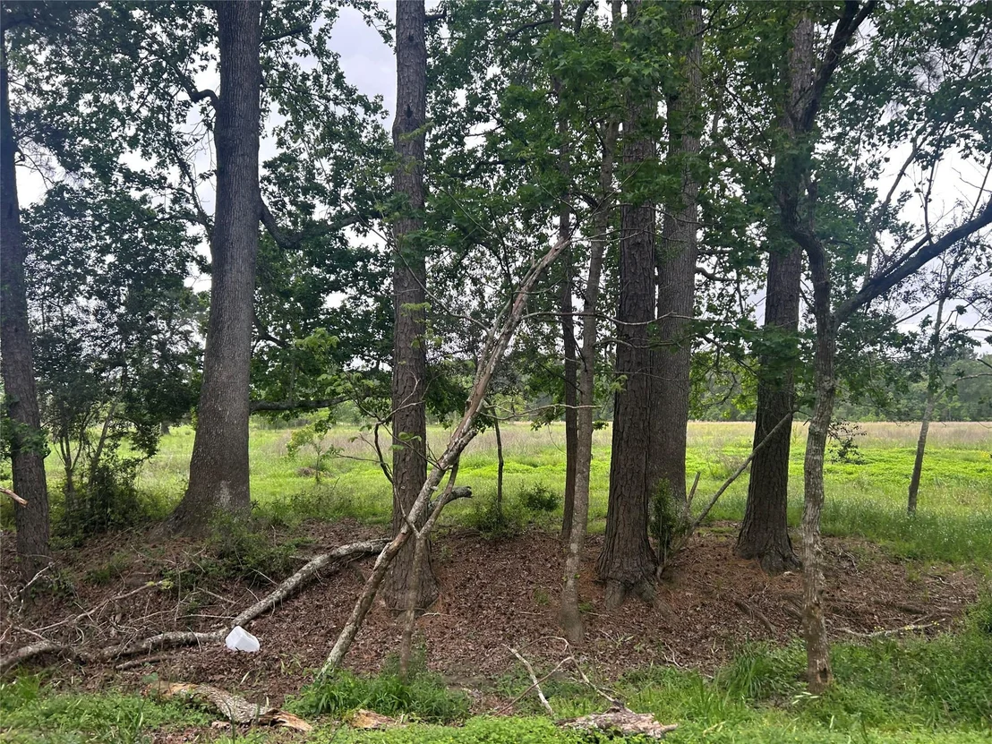 Photo of Lot 2 Minnie West Rd