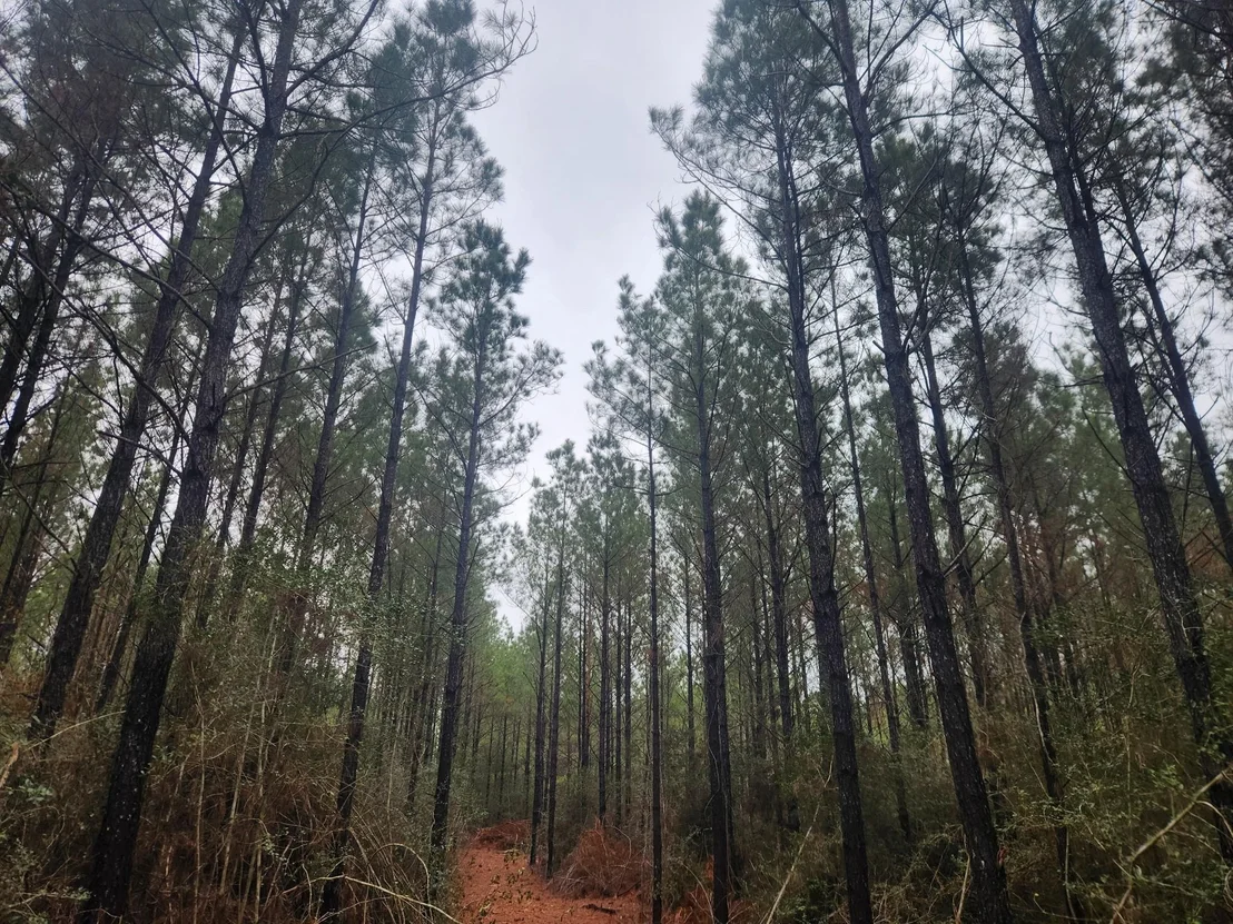 Photo of 10633 Ruger Road