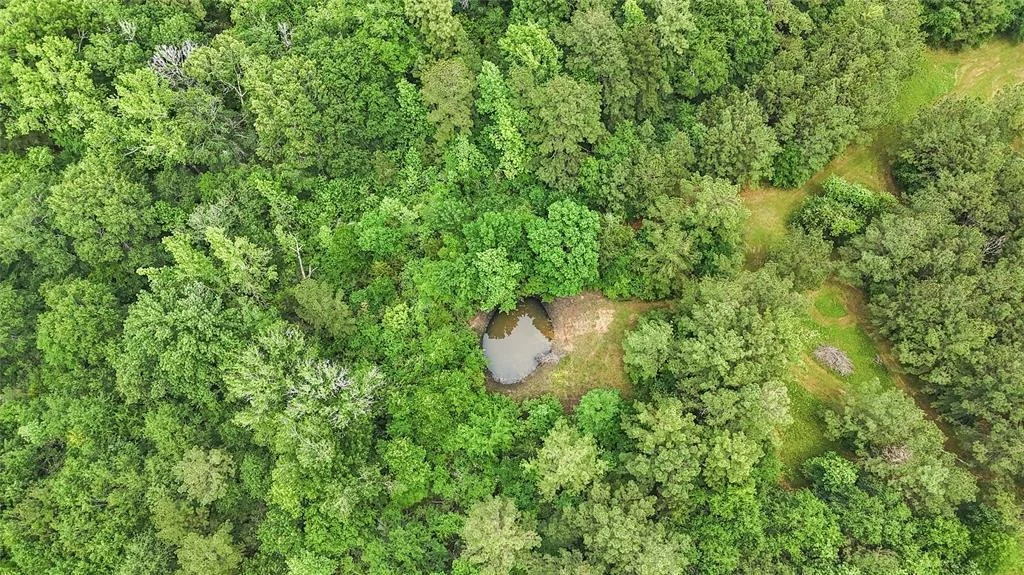 Photo of 2700 Spring Branch Road