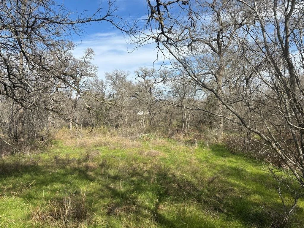 Photo of 245 Elm Forest Loop