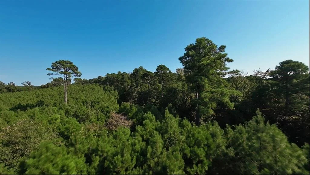 Photo of 526 Pleasure Point