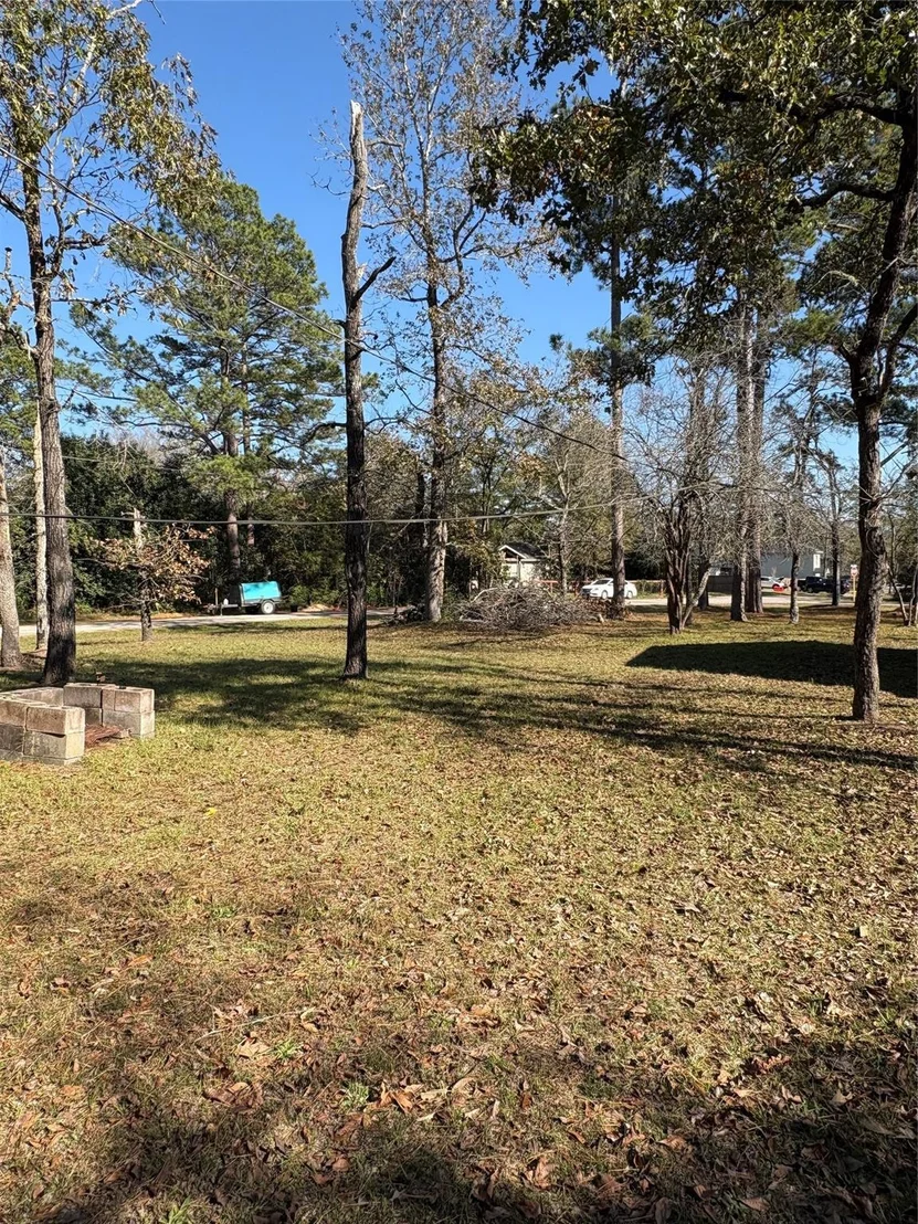 Photo of 0 Ben Milam Road