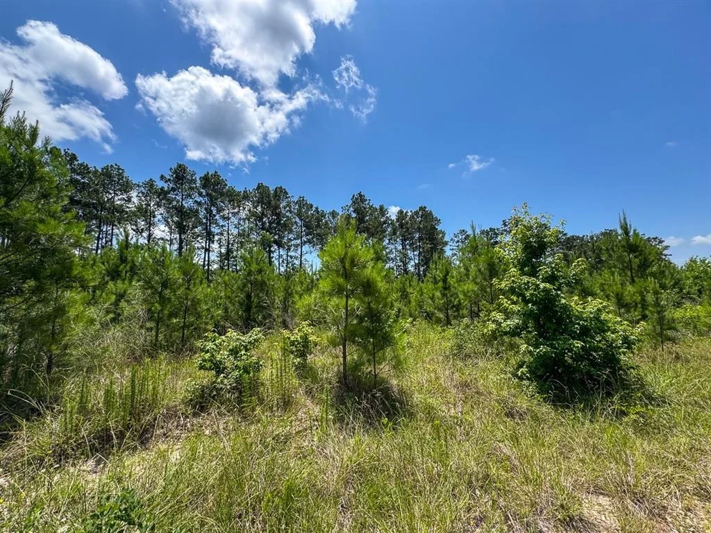 Photo of TBD Fm 355