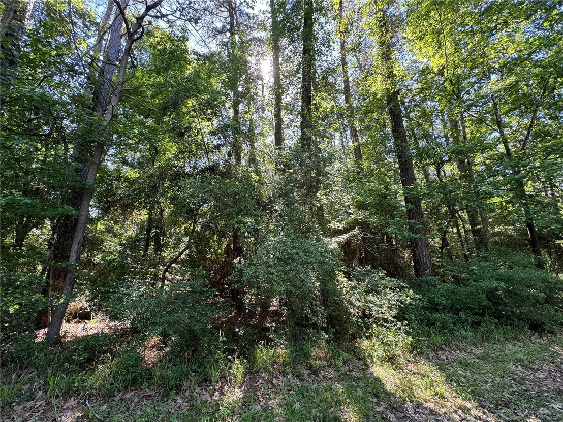 Photo of 16 Forrest Hollow