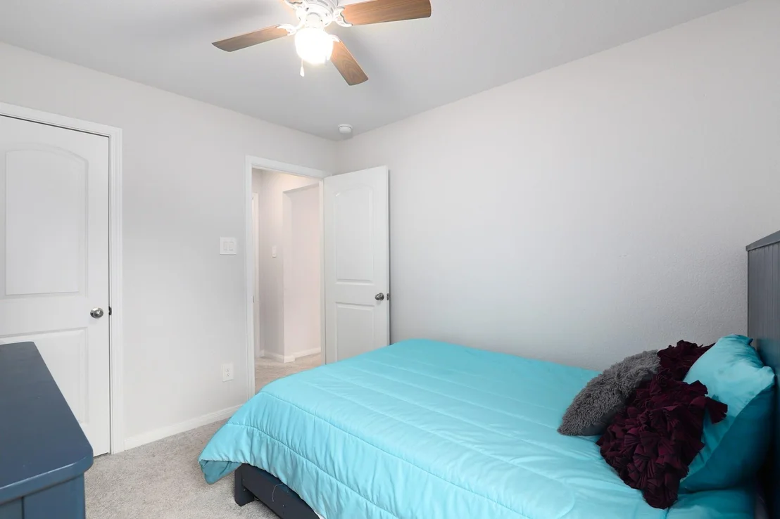 Photo of 206 Iris