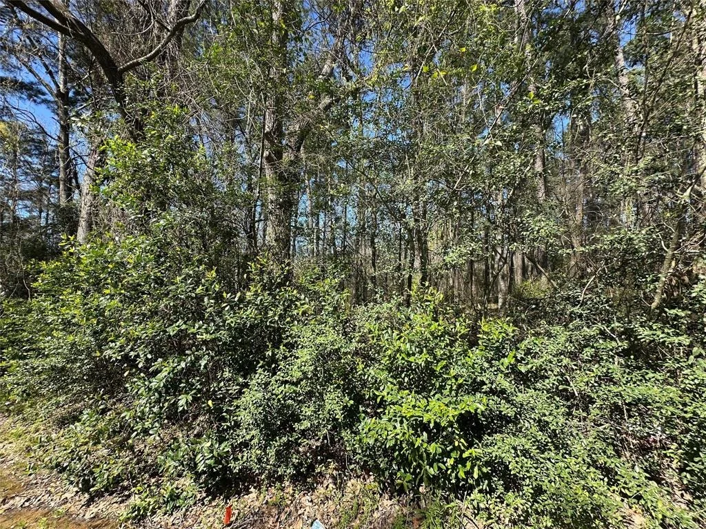 Photo of 518 Old Magnolia Road