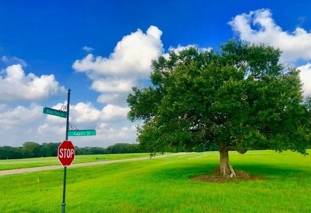 Photo of 223 River Tree Drive