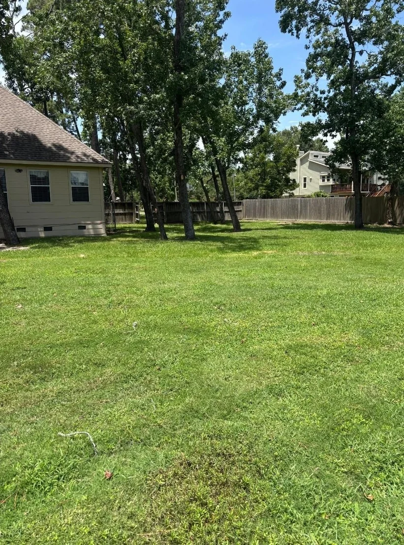 Photo of 1109 W Forest Avenue