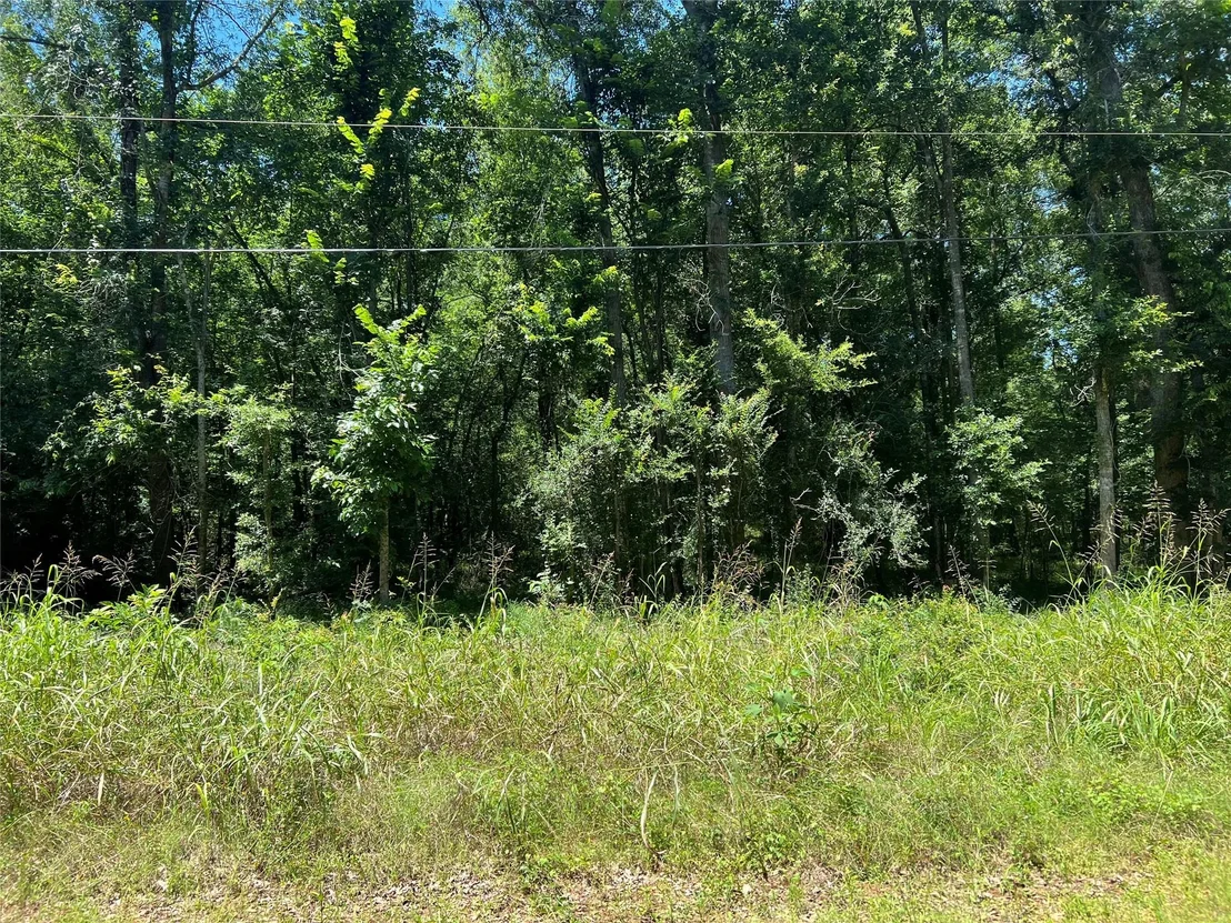 Photo of 000 Holt Street