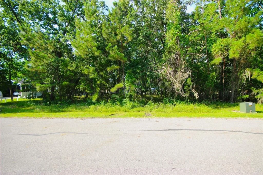Photo of 22 Walnut Point Drive