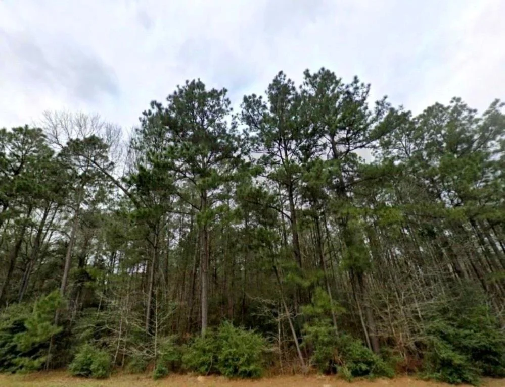 Photo of 126 Hollow Hill Drive