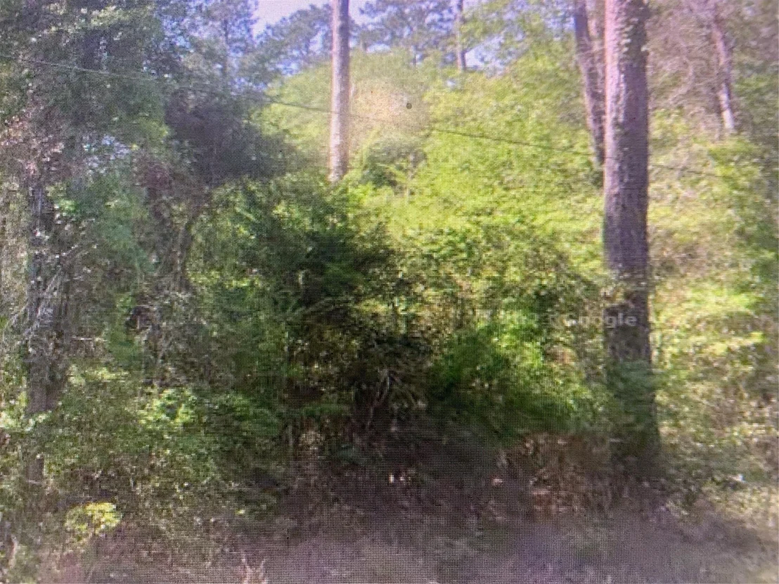 Photo of 0 Cedar Circle