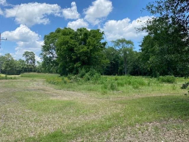 Photo of 545 County Road 388