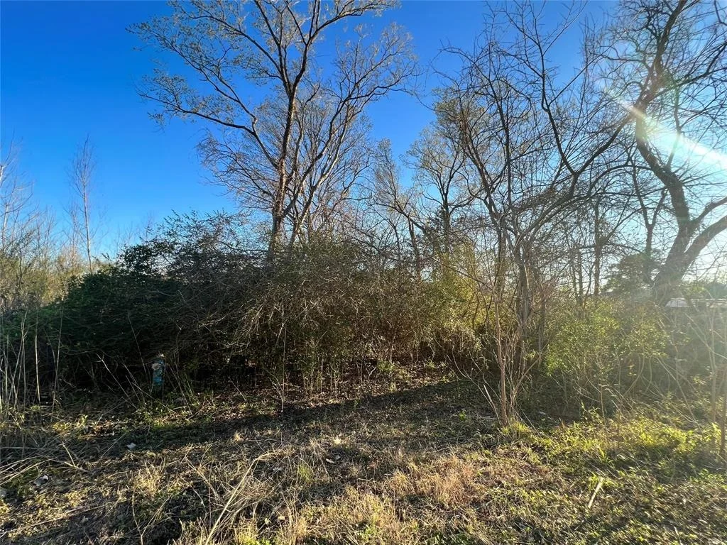 Photo of 7942 Flintridge Drive