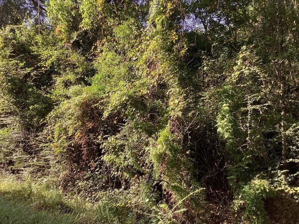 Photo of 1125 County Road 3075
