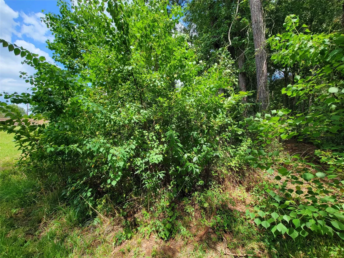 Photo of 0 Tri Lakes Rd